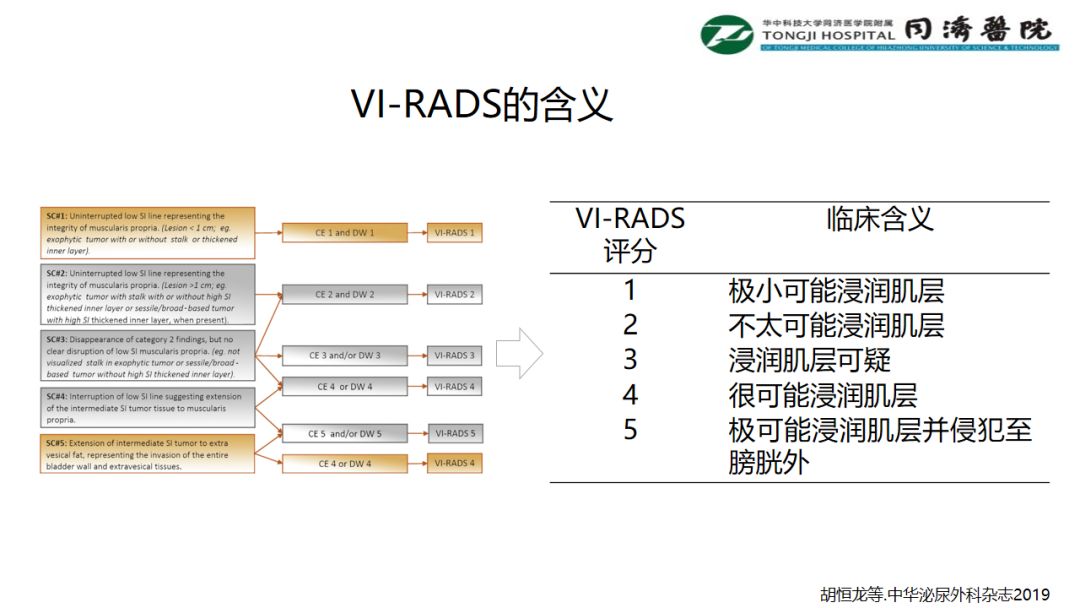 铥激光手术视频大赛，VI-RADS的含义