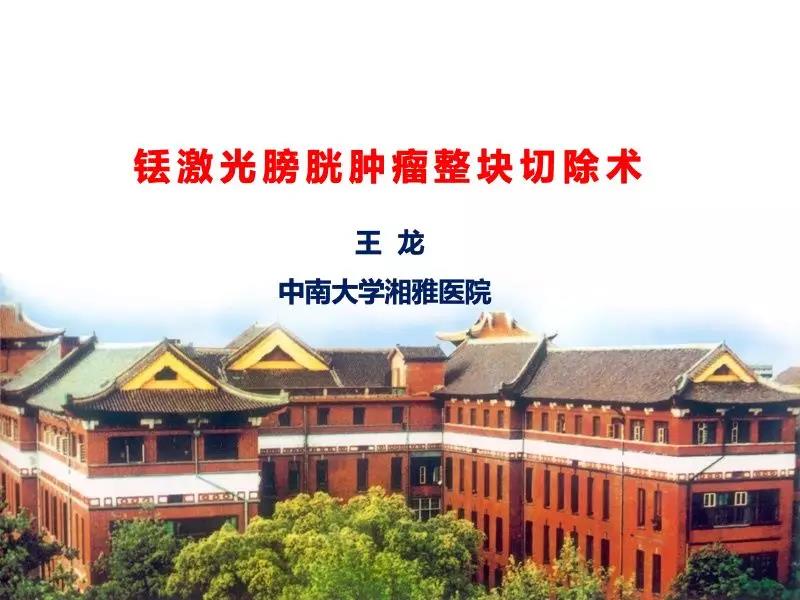 瑞柯恩培训学院第5期,铥激光膀胱肿瘤整块切除术-王龙