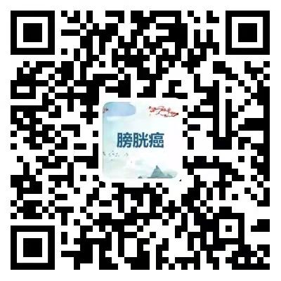 扫码关注